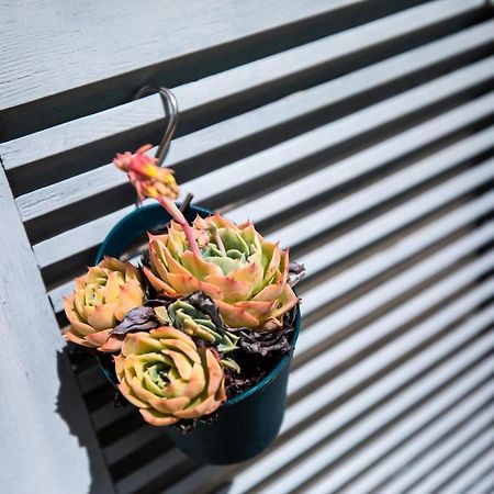 L' Evea Garden Le Relecq-Kerhuon Eksteriør bilde
